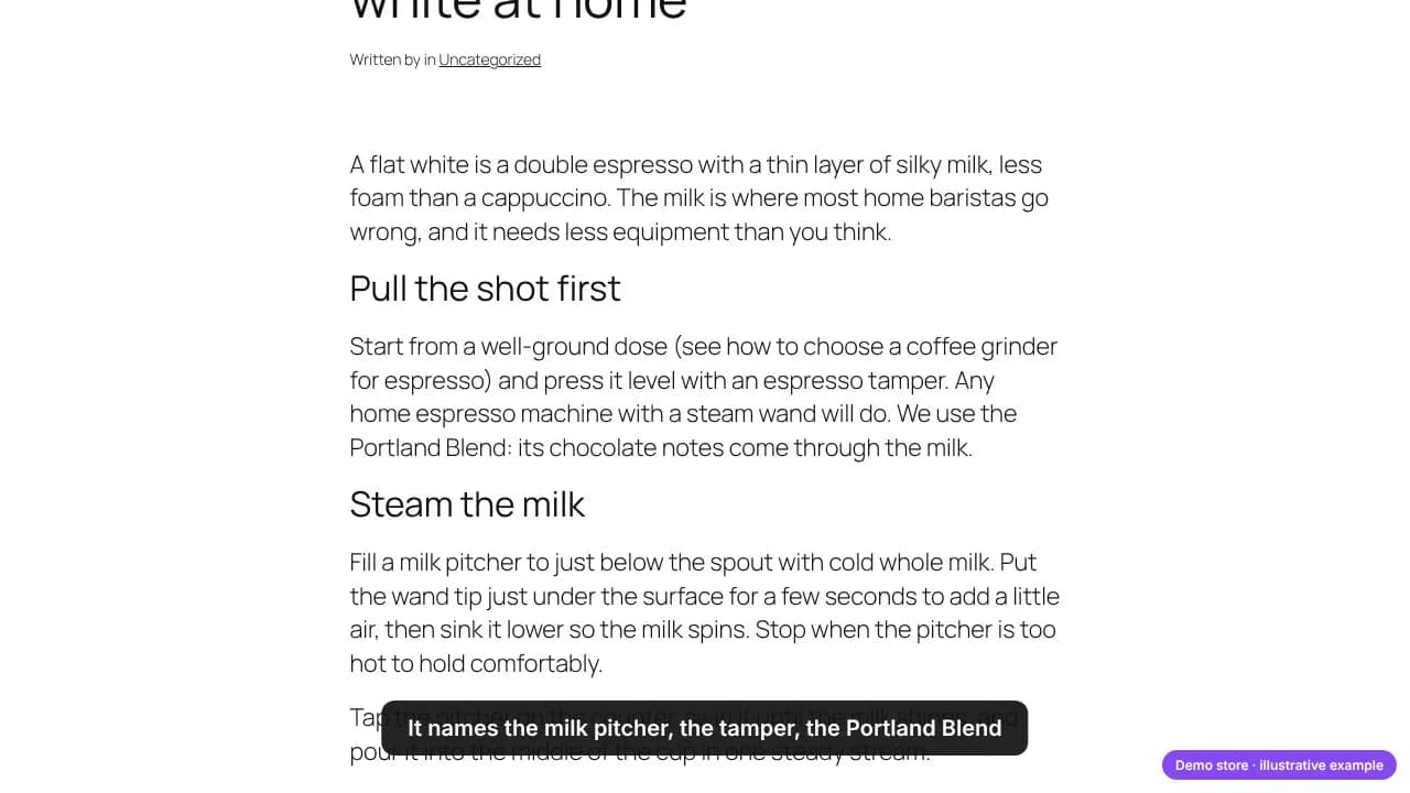 Ein Ratgeber im Blog des Demo-Shops, der das Milchkännchen, den Espresso-Tamper und den Portland Blend nennt, ohne einen davon zu verlinken